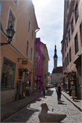 44-Tallinn_0527