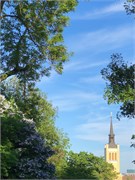 66-Tallinn_0527
