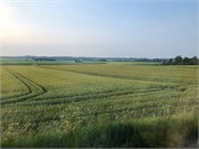 20-Krakow