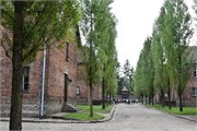 35-Auschwitz