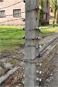 49-Auschwitz