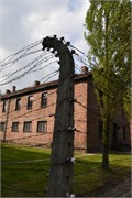50-Auschwitz