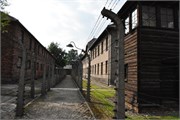 51-Auschwitz