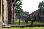 61-Auschwitz