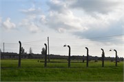 08-Birkenau