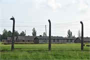 10-Birkenau
