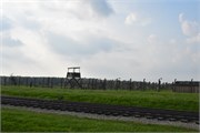 11-Birkenau