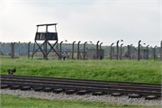 12-Birkenau