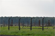 14-Birkenau