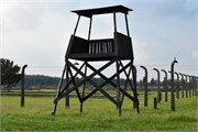18-Birkenau