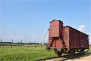 21-Birkenau
