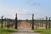 22-Birkenau