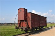 24-Birkenau