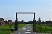 26-Birkenau