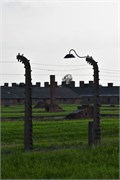 28-Birkenau