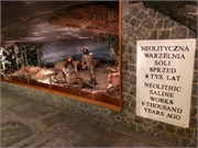 17-Wieliczka_Salt
