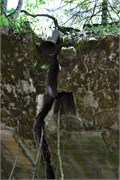 22-Wolfs_Lair_Poland