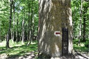 48-Wolfs_Lair_Poland