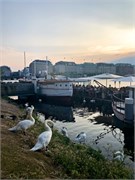 45-Hamburg_DE