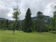 02-Linderhof