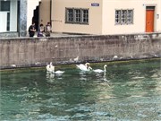 15-Zurich_06172018