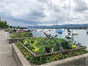24-Zurich_06172018