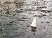 37-Zurich_06172018