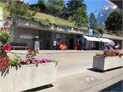 11-Grindelwald