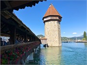 10-Lucerne