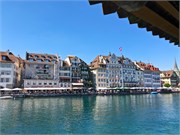 13-Lucerne