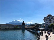 15-Lucerne