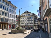19-Lucerne