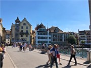 20-Lucerne