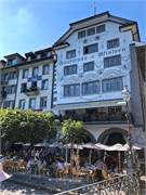 24-Lucerne