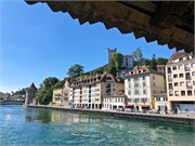 30-Lucerne
