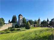 42-Lucerne