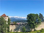 44-Lucerne