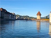 48-Lucerne