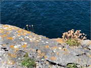 11-Burren
