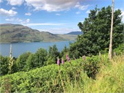 16-Ullapool
