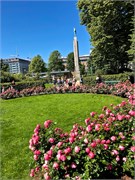16-Bergen2018