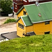 37-Hammerfest