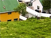40-Hammerfest
