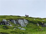 57-Hammerfest