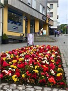 13-Kristiansund