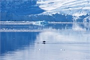 050_34_WilhelminaBay
