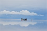 153_44_SaltFlatsUyuniBolivia