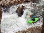 202_019-Tellico