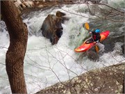 203_023-Tellico