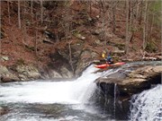 205_041-Tellico